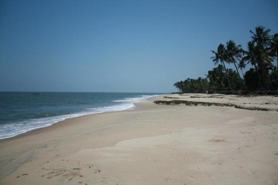 Fool'S Paradise Bed and Breakfast Alappuzha Exterior foto