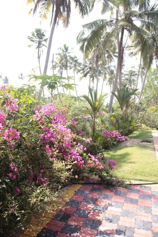 Fool'S Paradise Homestay Alappuzha Exterior foto